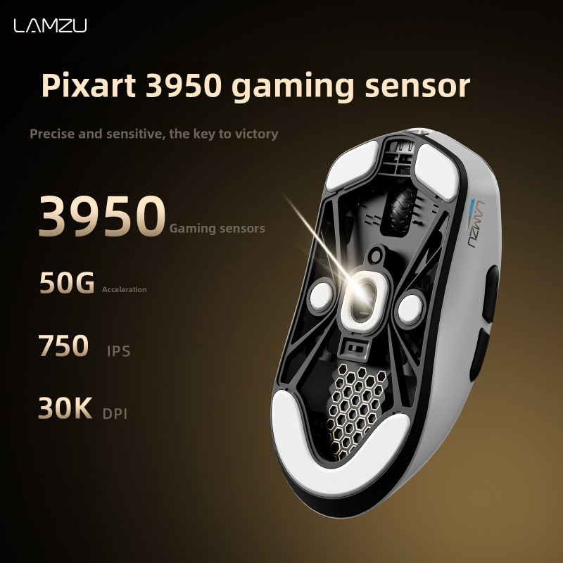 LAMZU Kabellose Gaming-Maus 8K – Esports Gaming Tournaments Bewertung und Preis