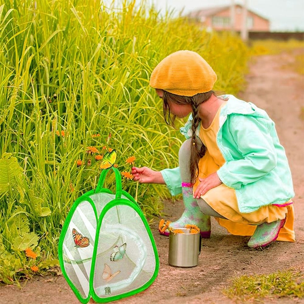 Grüner zusammenklappbarer Inse – Green Screen Collapsible Bewertung und Preis