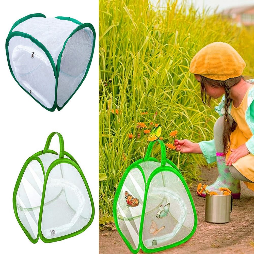 Grüner zusammenklappbarer Inse – Green Screen Collapsible Bewertung und Preis