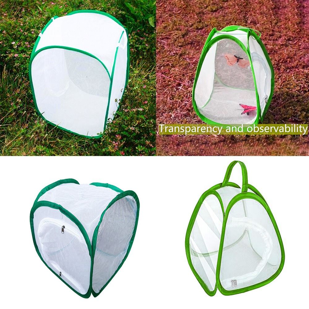 Grüner zusammenklappbarer Inse – Green Screen Collapsible Bewertung und Preis