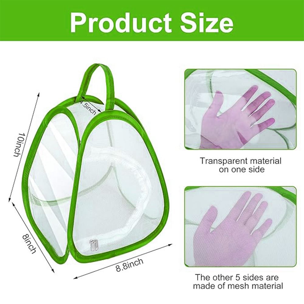 Grüner zusammenklappbarer Inse – Green Screen Collapsible Bewertung und Preis