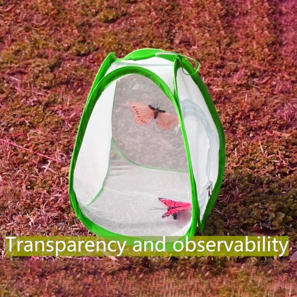 Grüner zusammenklappbarer Inse – Green Screen Collapsible Bewertung und Preis